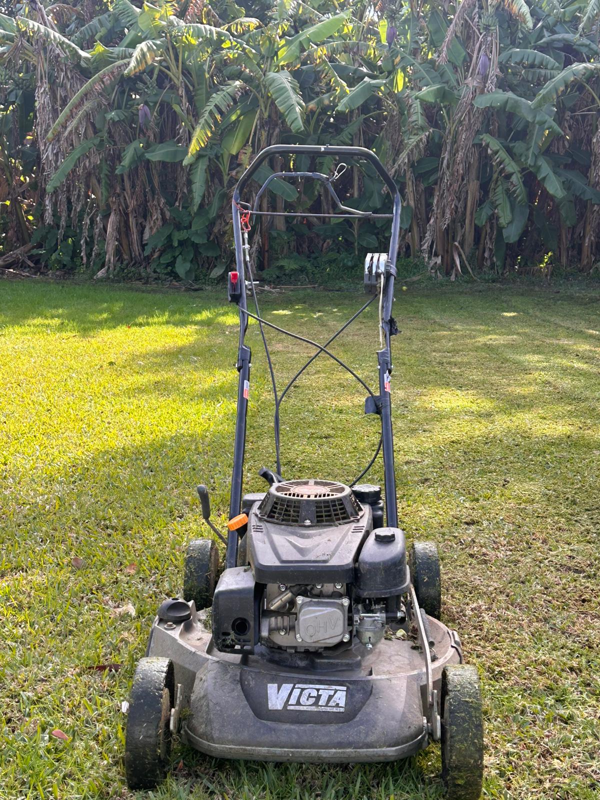 WhatsApp Image 2025-07-24 at 1.37.30 PM (1)