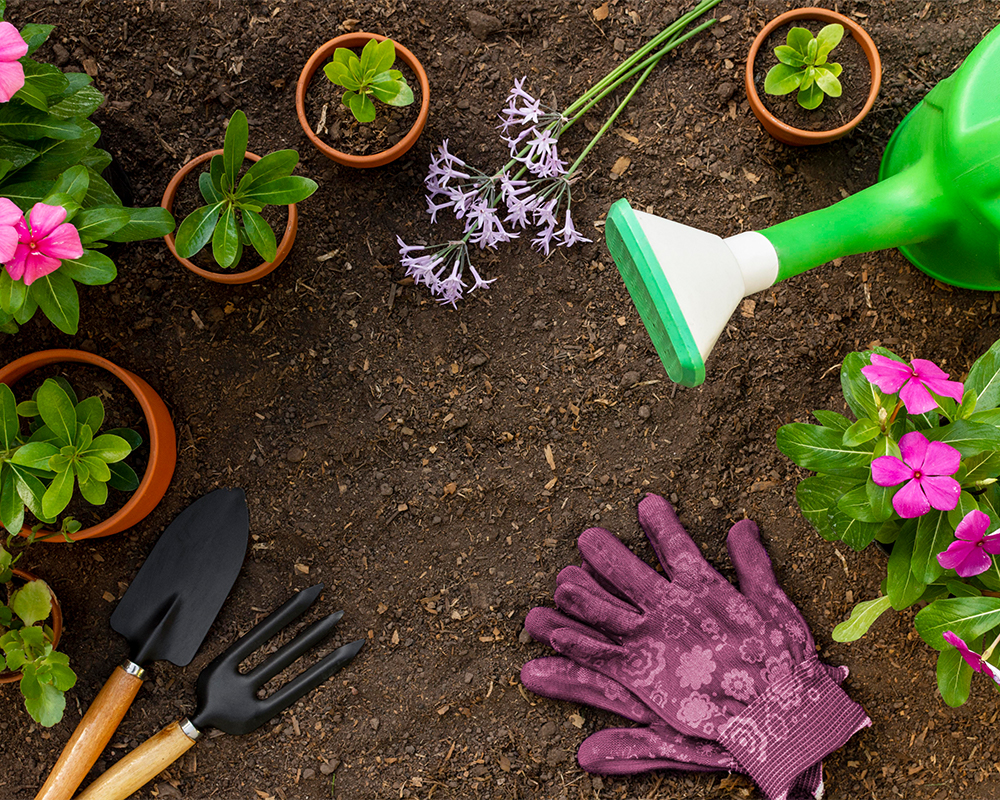 papakura lawn mowing, Lawn mowing services Auckland, lawn mowing auckland​, lawn mowing west auckland​, cheap lawn mowing west auckland​, lawn maintenance auckland, lawn mowing services papakura, lawn mowing central auckland, lawn mowing east auckland, lawn mowing services west auckland