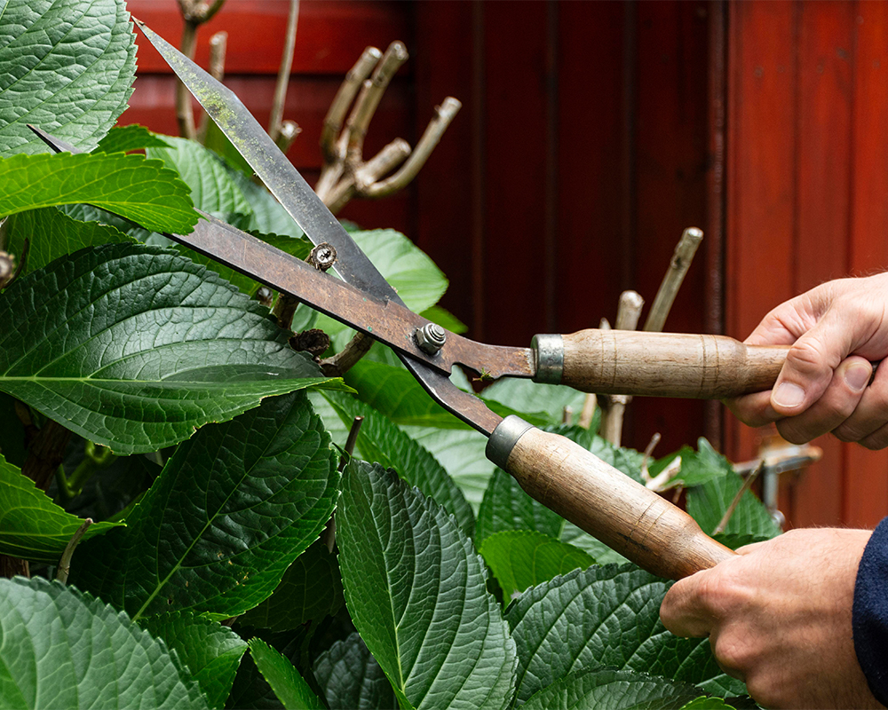 papakura lawn mowing, Lawn mowing services Auckland, lawn mowing auckland​, lawn mowing west auckland​, cheap lawn mowing west auckland​, lawn maintenance auckland, lawn mowing services papakura, lawn mowing central auckland, lawn mowing east auckland, lawn mowing services west auckland
