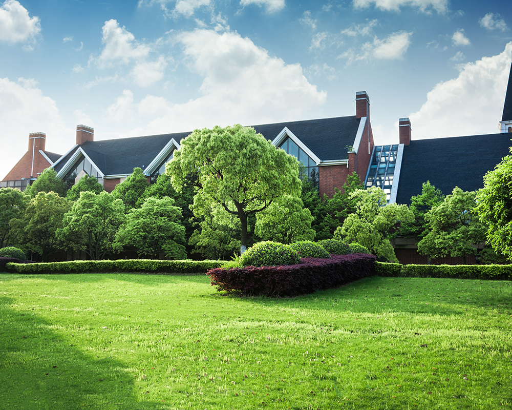 papakura lawn mowing, Lawn mowing services Auckland, lawn mowing auckland​, lawn mowing west auckland​, cheap lawn mowing west auckland​, lawn maintenance auckland, lawn mowing services papakura, lawn mowing central auckland, lawn mowing east auckland, lawn mowing services west auckland